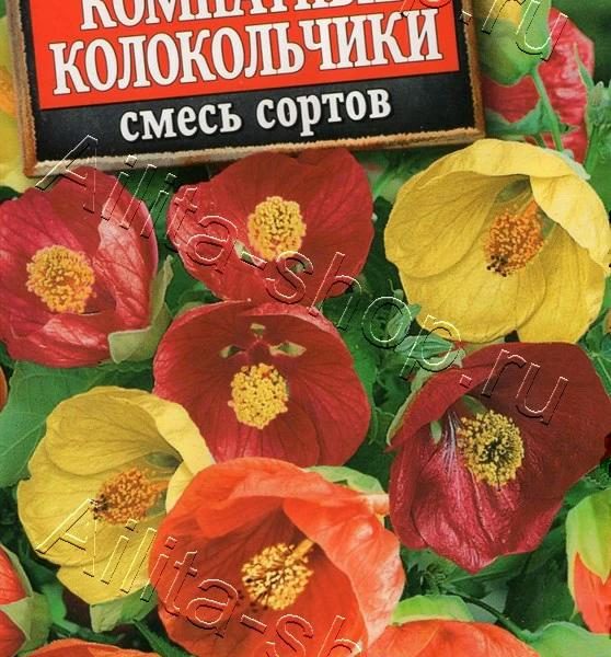 АЭЛИТА АБУТИЛОН КОМНАТНЫЕ КОЛОКОЛЬЧИКИ, СМЕСЬ СОРТОВ Ц/П 15 шт