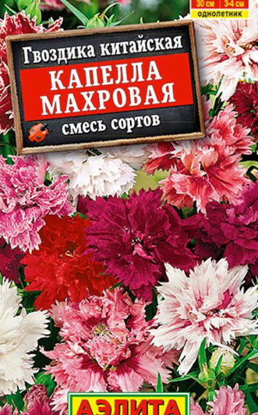 АЭЛИТА ГВОЗДИКА КАПЕЛЛА МАХРОВАЯ КИТАЙСКАЯ, СМЕСЬ СОРТОВ Ц/П 0,1 г
