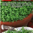АЭЛИТА КРЕСС-САЛАТ ВАНЬКА КУЧЕРЯВЫЙ Ц/П 1 г