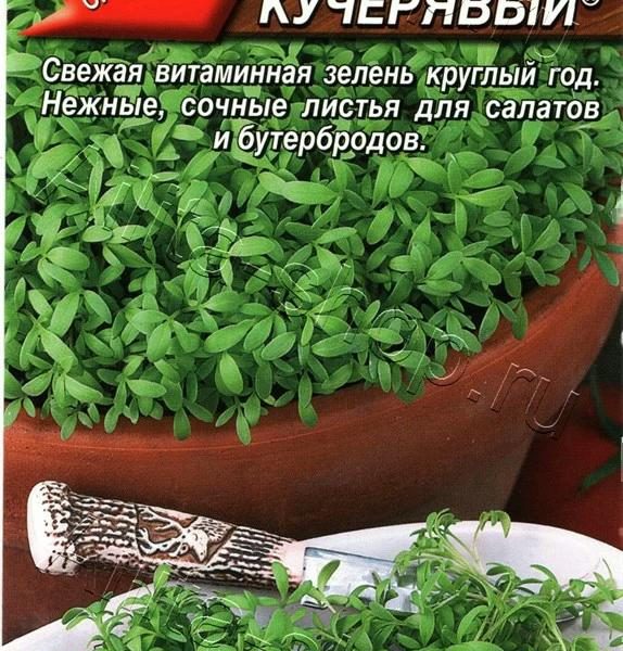 АЭЛИТА КРЕСС-САЛАТ ВАНЬКА КУЧЕРЯВЫЙ Ц/П 1 г
