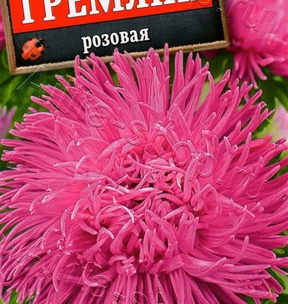 АЭЛИТА АСТРА ГРЕМЛИН РОЗОВАЯ Ц/П 0,2 г