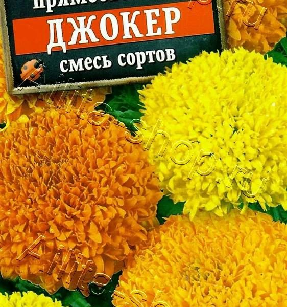 АЭЛИТА БАРХАТЦЫ ДЖОКЕР, СМЕСЬ СОРТОВ Ц/П 0,1 г