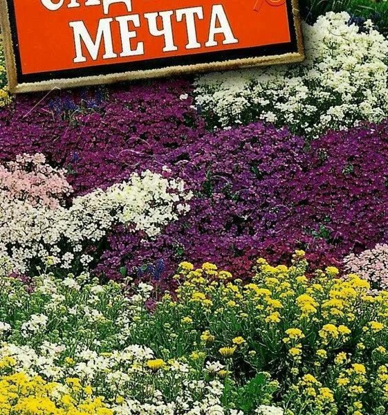 АЭЛИТА АЛЬПИЙСКАЯ СМЕСЬ САДОВАЯ МЕЧТА Ц/П 0,5 г