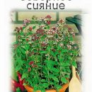 АЭЛИТА ДУШИЦА ОБЫКНОВЕННАЯ СЕВЕРНОЕ СИЯНИЕ Ц/П 0,05 г