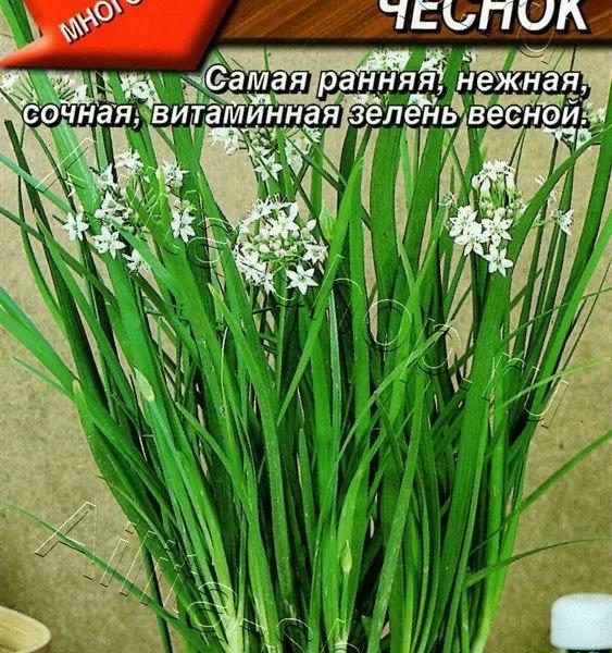 АЭЛИТА ЛУК ДУШИСТЫЙ КИТАЙСКИЙ ЧЕСНОК Ц/П 0,3 г