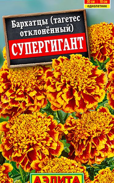 АЭЛИТА БАРХАТЦЫ СУПЕРГИГАНТ ОТКЛОНЕННЫЕ Ц/П 0,3 г