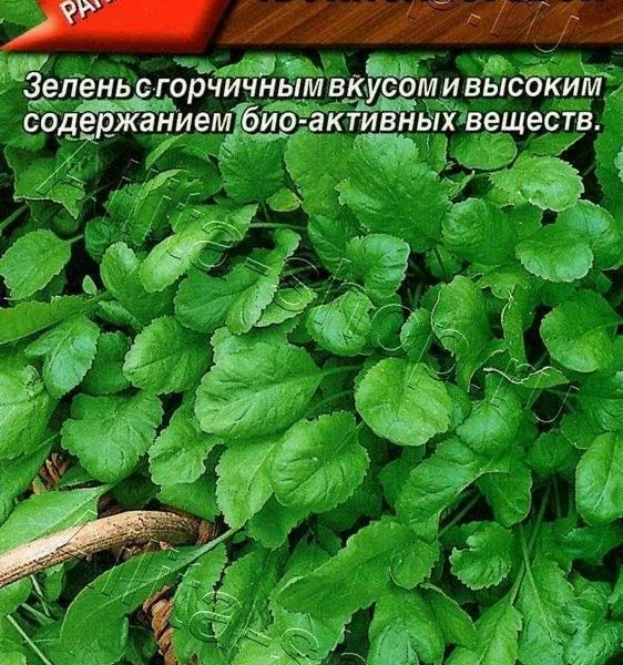 АЭЛИТА КРЕСС-САЛАТ КРУПНОЛИСТОВОЙ Ц/П 1 г