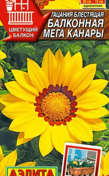 АЭЛИТА ГАЦАНИЯ БАЛКОННАЯ МЕГА КАНАРЫ Ц/П 4 шт