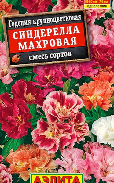 АЭЛИТА ГОДЕЦИЯ СИНДЕРЕЛЛА КРУПНОЦВЕТКОВАЯ МАХРОВАЯ, СМЕСЬ СОРТОВ Ц/П 0,05 г