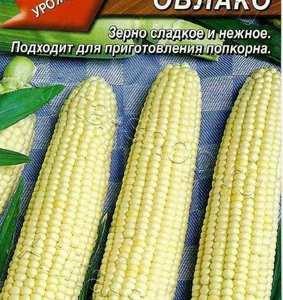 АЭЛИТА КУКУРУЗА САХАРНАЯ БЕЛОЕ ОБЛАКО Ц/П 7 г