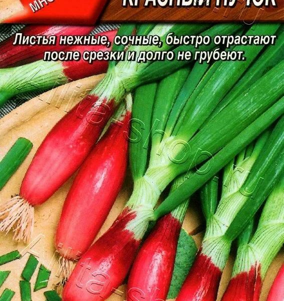 АЭЛИТА ЛУК НА ЗЕЛЕНЬ КРАСНЫЙ ПУЧОК Ц/П 0,3 г