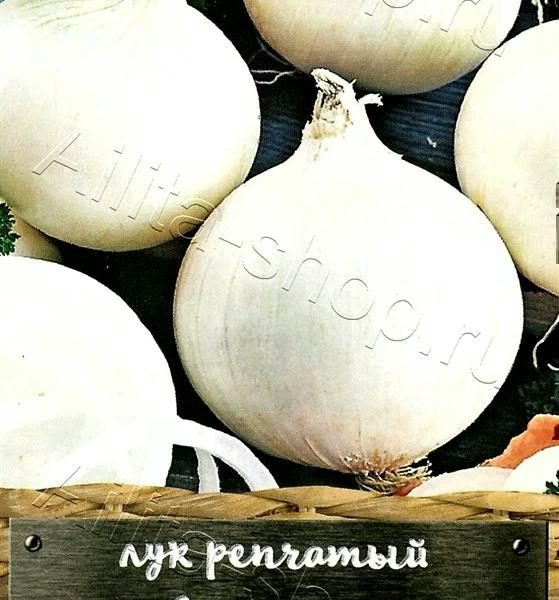 АЭЛИТА ЛУК РЕПЧАТЫЙ АВАЛОН Ц/П 0,5 г