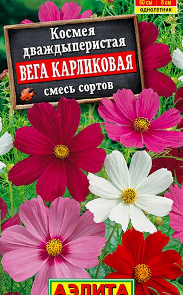 АЭЛИТА КОСМЕЯ ВЕГА КАРЛИКОВАЯ, СМЕСЬ СОРТОВ Ц/П 0,3 г