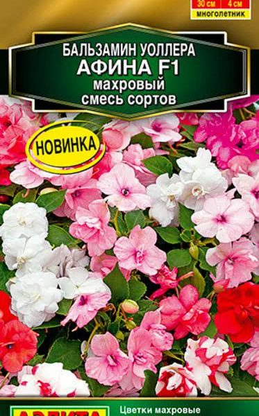 АЭЛИТА БАЛЬЗАМИН АФИНА F1 МАХРОВЫЙ, СМЕСЬ СОРТОВ Ц/П 5 шт