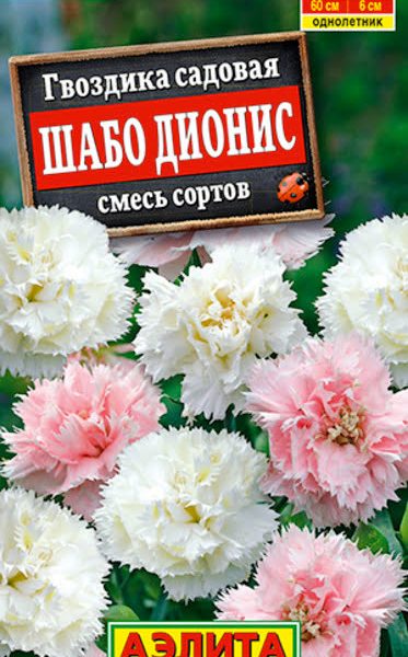 АЭЛИТА ГВОЗДИКА САДОВАЯ ШАБО ДИОНИС, СМЕСЬ СОРТОВ Ц/П 0,05 г