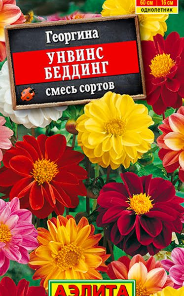 АЭЛИТА ГЕОРГИНА УНВИНС БЕДДИНГ, СМЕСЬ СОРТОВ Ц/П 0,3 г