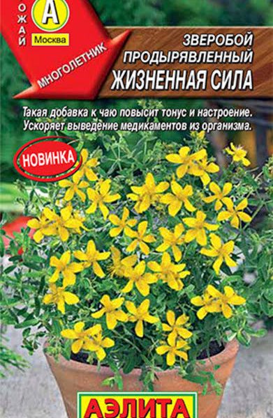 АЭЛИТА ЗВЕРОБОЙ ЖИЗНЕННАЯ СИЛА Ц/П 0,1 г
