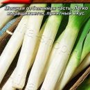 АЭЛИТА ЛУК ПОРЕЙ БАНДИТ Ц/П 0,5 г