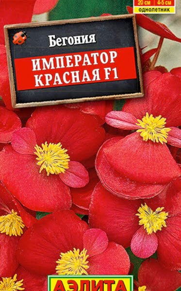 АЭЛИТА БЕГОНИЯ ВЕЧНОЦВЕТУЩАЯ ИМПЕРАТОР КРАСНАЯ F1 Ц/П 10 шт