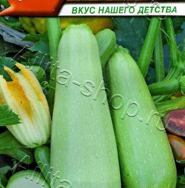 АЭЛИТА КАБАЧОК БЕЛОПЛОДНЫЙ СОТЭ 38 Ц/П 1 г