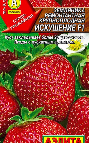 АЭЛИТА ЗЕМЛЯНИКА РЕМОНТАНТНАЯ КРУПНОПЛОДНАЯ ИСКУШЕНИЕ F1 Ц/П 10 шт