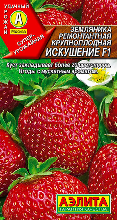 АЭЛИТА ЗЕМЛЯНИКА РЕМОНТАНТНАЯ КРУПНОПЛОДНАЯ ИСКУШЕНИЕ F1 Ц/П 10 шт