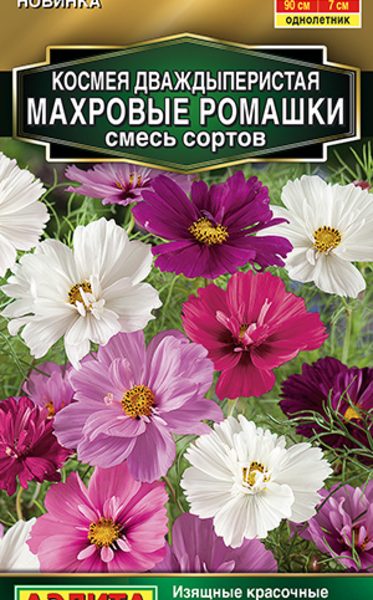 АЭЛИТА КОСМЕЯ МАХРОВЫЕ РОМАШКИ, СМЕСЬ СОРТОВ Ц/П 0,1 г