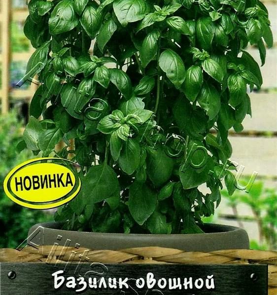 АЭЛИТА БАЗИЛИК ОВОЩНОЙ ИЗУМРУДНАЯ БАШНЯ Ц/П 10 шт