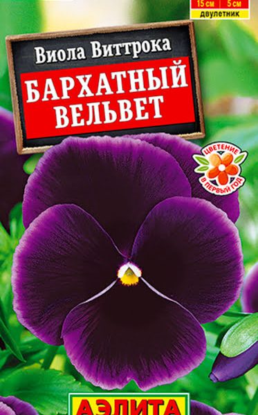 АЭЛИТА ВИОЛА БАРХАТНЫЙ ВЕЛЬВЕТ Ц/П 0,1 г