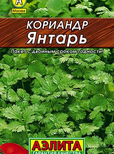 АЭЛИТА КОРИАНДР ЯНТАРЬ Лидер 3 г