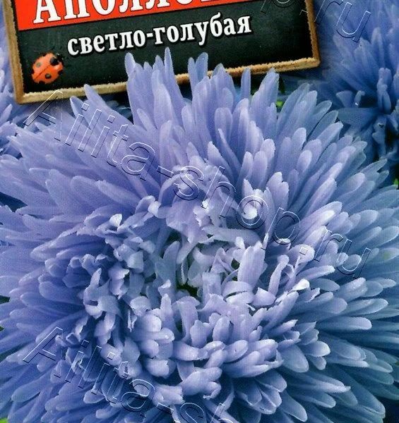 АЭЛИТА АСТРА АПОЛЛОНИЯ СВЕТЛО-ГОЛУБАЯ Ц/П 0,2 г