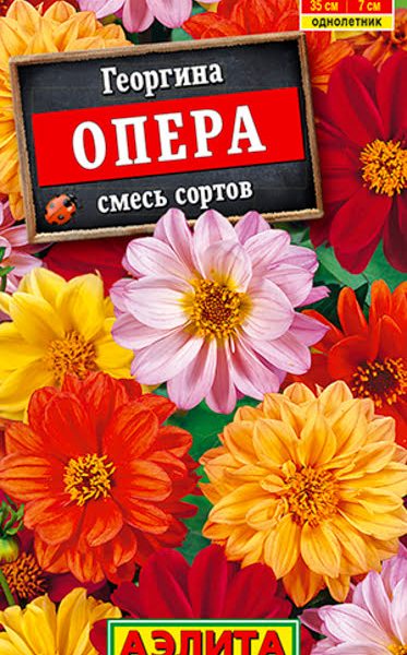 АЭЛИТА ГЕОРГИНА ОПЕРА, СМЕСЬ СОРТОВ Ц/П 7 шт
