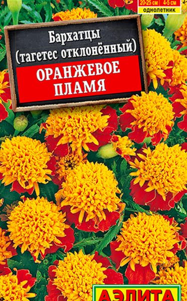 АЭЛИТА БАРХАТЦЫ ОРАНЖЕВОЕ ПЛАМЯ ОТКЛОНЕННЫЕ Ц/П 0,2 г