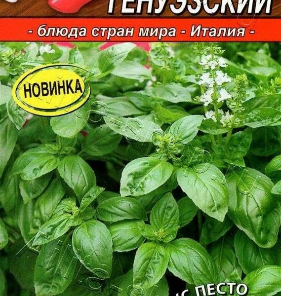 АЭЛИТА БАЗИЛИК ОВОЩНОЙ ГЕНУЭЗСКИЙ Ц/П 0,3 г
