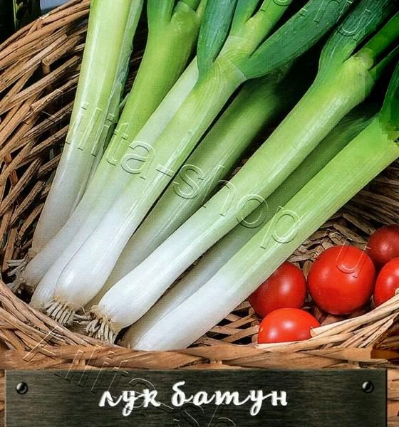 АЭЛИТА ЛУК БАТУН СТРАЖНИК Ц/П 0,5 г
