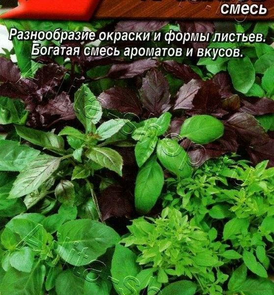 АЭЛИТА БАЗИЛИК ОВОЩНОЙ ПЯТЬ АРОМАТОВ, СМЕСЬ Ц/П 0,3 г