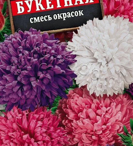 АЭЛИТА АСТРА БУКЕТНАЯ, СМЕСЬ СОРТОВ Ц/П 0,2 г