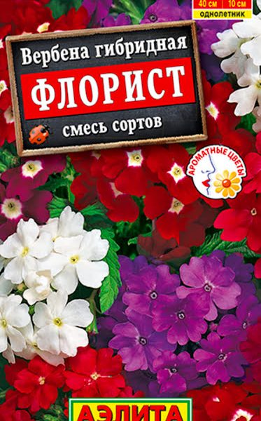 АЭЛИТА ВЕРБЕНА ФЛОРИСТ, СМЕСЬ СОРТОВ Ц/П 40 шт