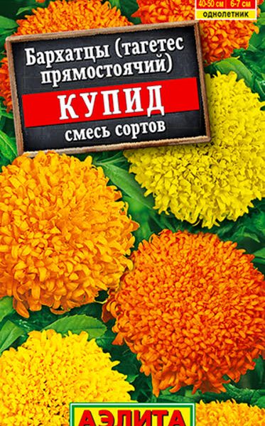 АЭЛИТА БАРХАТЦЫ КУПИД ХРИЗАНТЕМОВИДНЫЕ, СМЕСЬ СОРТОВ Ц/П 0,1 г