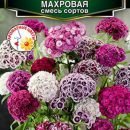 АЭЛИТА ГВОЗДИКА ПИНОККИО КАРЛИКОВАЯ МАХРОВАЯ, СМЕСЬ СОРТОВ Ц/П 0,1 г