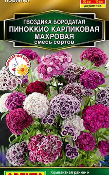 АЭЛИТА ГВОЗДИКА ПИНОККИО КАРЛИКОВАЯ МАХРОВАЯ, СМЕСЬ СОРТОВ Ц/П 0,1 г