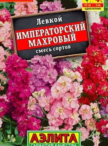 АЭЛИТА ЛЕВКОЙ ИМПЕРАТОРСКИЙ МАХРОВЫЙ, СМЕСЬ СОРТОВ Лидер 30 шт