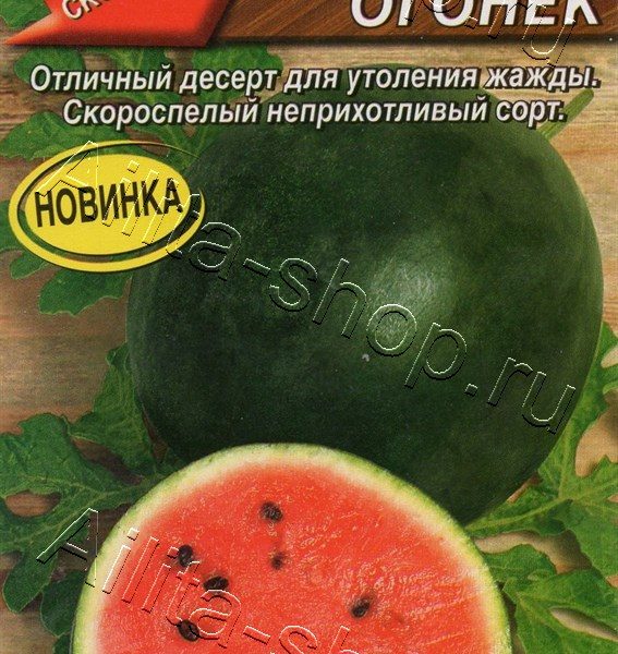 АЭЛИТА АРБУЗ НОВЫЙ ОГОНЕК Ц/П 1 г