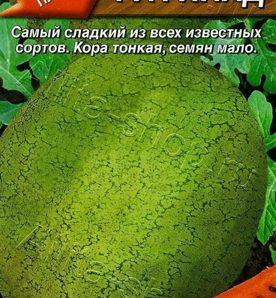 АЭЛИТА АРБУЗ РАФИНАД Ц/П 1 г