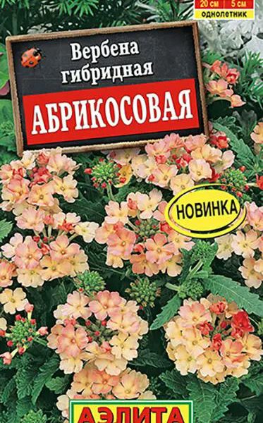 АЭЛИТА ВЕРБЕНА АБРИКОСОВАЯ Ц/П 10 шт