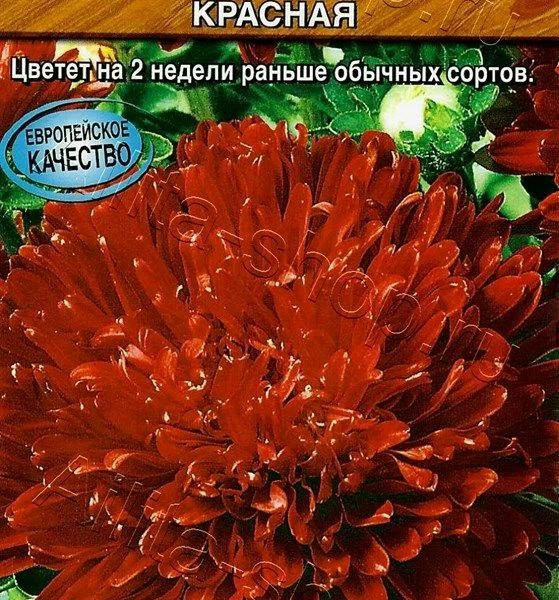АЭЛИТА АСТРА МИЛЕДИ КРАСНАЯ Ц/П 0,2 г