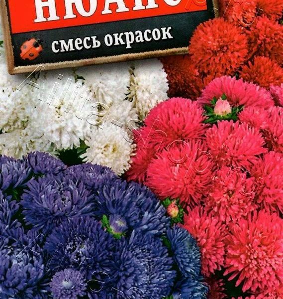 АЭЛИТА АСТРА НЮАНС КАРЛИКОВАЯ, СМЕСЬ СОРТОВ Ц/П 0,2 г