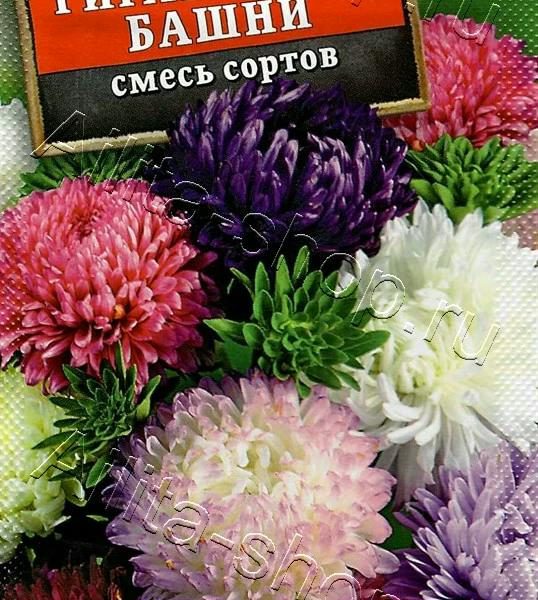 АЭЛИТА АСТРА ГИГАНТСКИЕ БАШНИ, СМЕСЬ СОРТОВ Ц/П 0,2 г