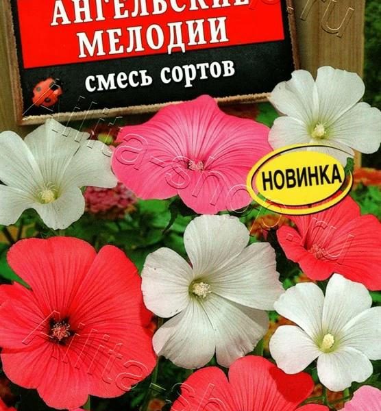 АЭЛИТА ЛАВАТЕРА АНГЕЛЬСКИЕ МЕЛОДИИ, СМЕСЬ СОРТОВ Ц/П 0,3 г