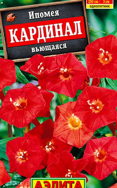 АЭЛИТА ИПОМЕЯ КАРДИНАЛ ВЬЮЩАЯСЯ Ц/П 0,5 г